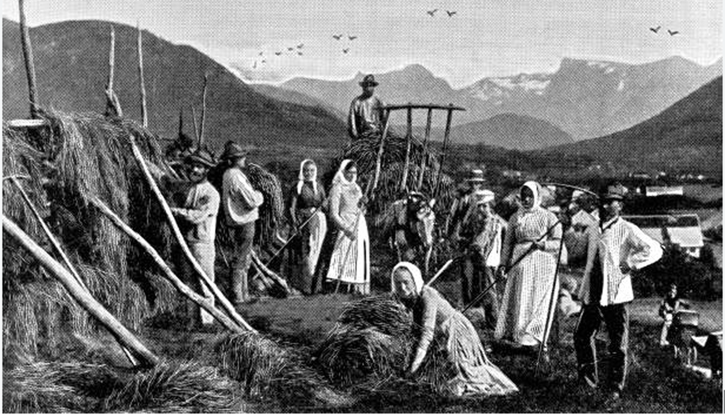 Historical oat farming in the Nordic region